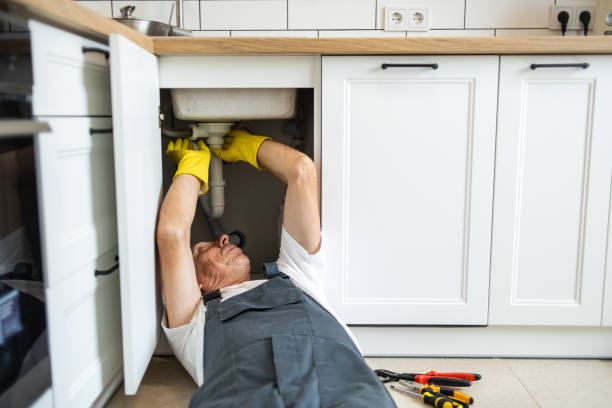 Best Pipe Repair Near Me  in Greensboro, MD