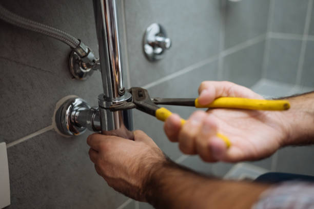 Best Plumbing Inspection Services  in Greensboro, MD